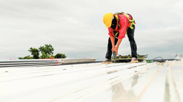 Best Roof Inspection  in USA